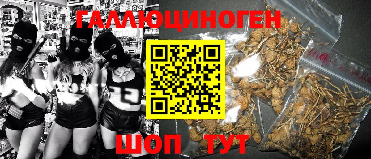 Галлюциногенные грибы GOLDEN TEACHER Родники