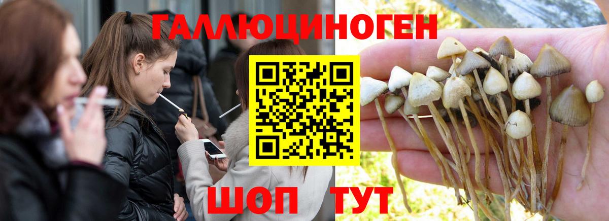Псилоцибиновые грибы Magic Shrooms  Вход с VPN  Псилоцибиновые грибы мухоморы  Родники 