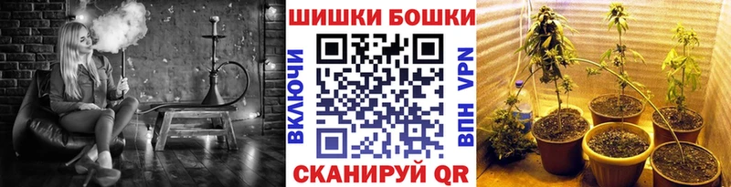 Конопля индика  где найти   Родники 
